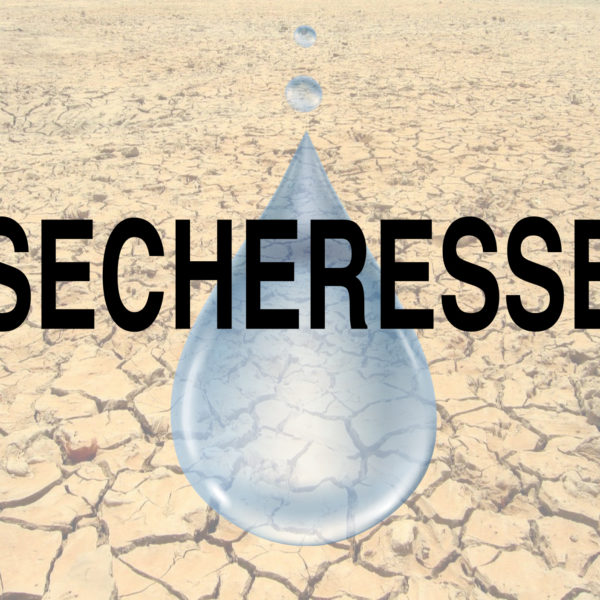 illistration secheresse