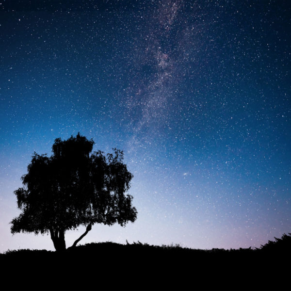 illustration ciel étoilé : https://fr.freepik.com/photos/arbre'>Arbre photo créé par standret - fr.freepik.com